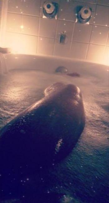 3365364732, female escort, High Point